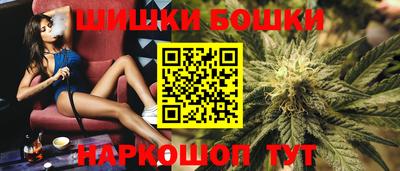 дмт Новозыбков
