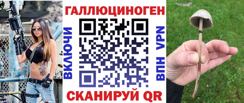 Псилоцибиновые грибы MAGIC MUSHROOMS  наркота  Кингисепп 