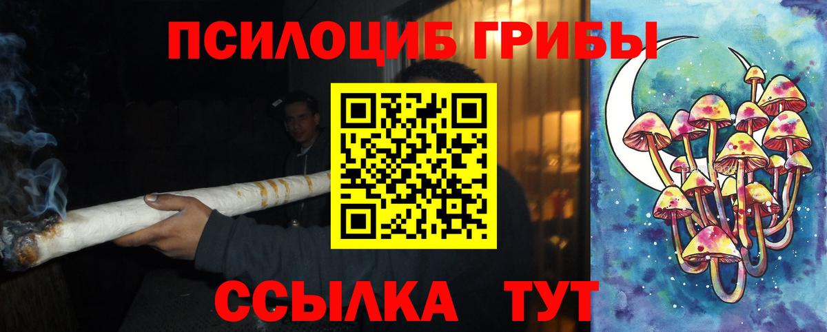 Кингисепп  Псилоцибиновые грибы GOLDEN TEACHER  Вход с VPN 