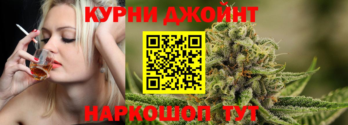 Каннабис семена  Вход с VPN  Конопля MAZAR  Бошки Шишки сатива  Кингисепп 